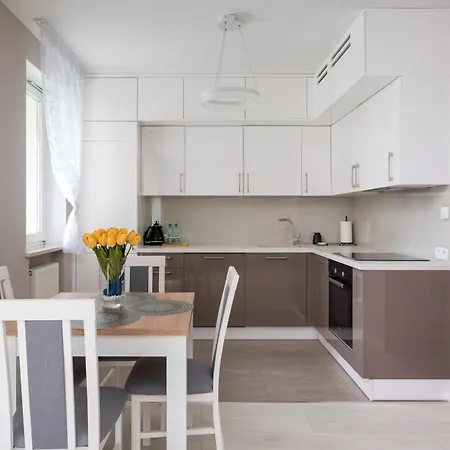 Sienna Centre Deluxe Apartment Warsaw